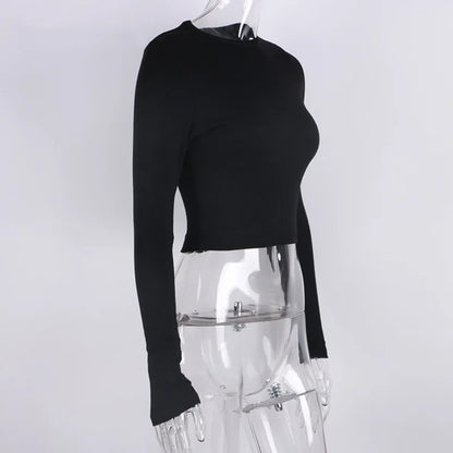 O Neck Cropped Top