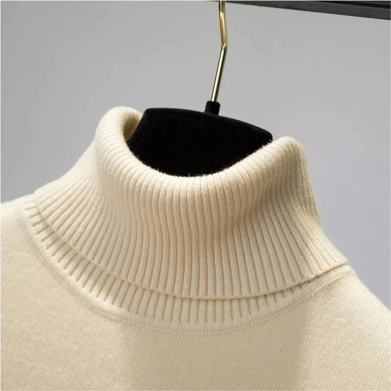 Jersey Knitwear Turtleneck